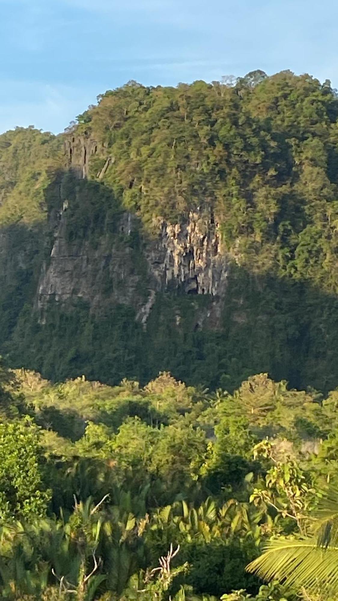 Rammang Rammang Ecolodge And Cafe Kasijala Ngoại thất bức ảnh