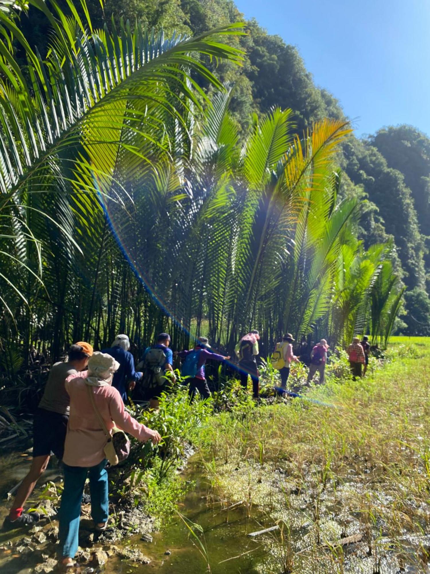 Rammang Rammang Ecolodge And Cafe Kasijala Ngoại thất bức ảnh